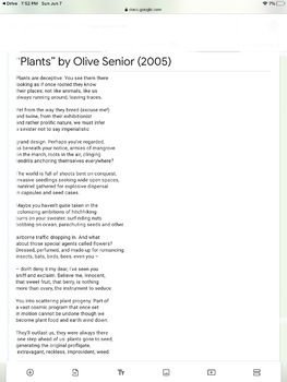 plants olive senior essay