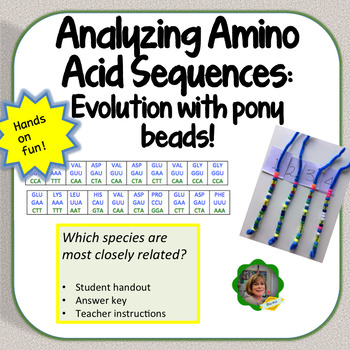 Analyzing Amino Acid Sequences To Determine Evolutionary Relationships