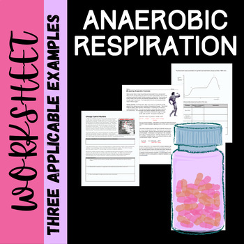 Preview of Analyzing Anaerobic Respiration