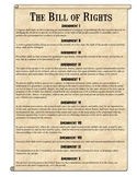 Bill of Rights Scenarios Analysis Worksheet