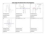 Analyzing the Behavior of Polynomials