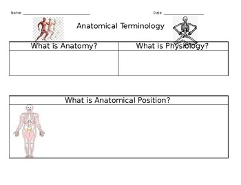 Preview of Anatomical Direction Guided Note Sheet