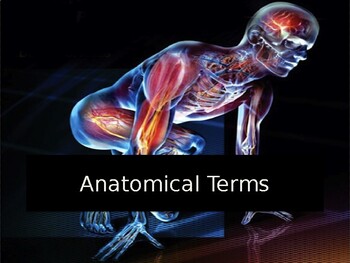 Preview of Anatomical Direction Notes