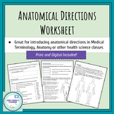 Anatomical Directions, Planes, and Abdominal Regions Worksheet