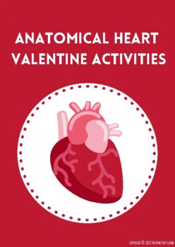 Preview of Anatomical Heart Valentine's Day Colour Match - Freebie