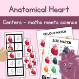 Anatomical Heart Printable activities