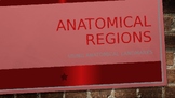 Anatomical Landmarks PowerPoint (plus abdominopelvic quadr