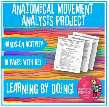 Preview of Anatomical Movement Analysis Project