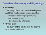 Anatomical Planes, Directions, Cavities, and Regions Presentation