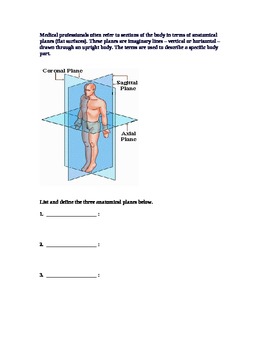 Preview of Anatomical Planes, Terms, & Heart Rate Quiz/Worksheet