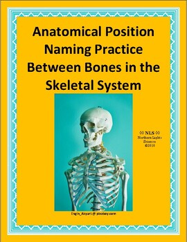 Preview of Anatomical Position Naming Practice Between Bones in the Skeletal System