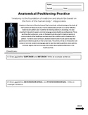 Anatomical Positioning Practice