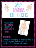 Anatomical Regions Google Forms Exit Ticket
