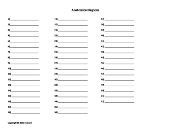 Anatomical Regions Quiz or Worksheet by Everything Science and Beyond