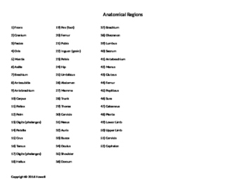 Anatomy Body Regions Quiz - Anatomical Charts & Posters