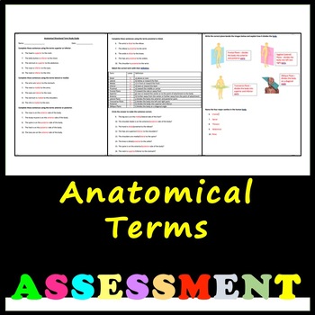Preview of Anatomical Terminology Assessment with Answers!