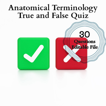Preview of Anatomical Terminologies: True and False Quiz Worksheets Editable File