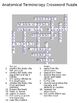 Anatomical Terminology Crossword Puzzle by The Teacher Team | TPT