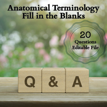 Preview of Anatomical Terminology, Human Anatomy Fill in the Blank with Word Bank