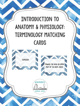 Preview of Anatomical Terminology Matching Cards