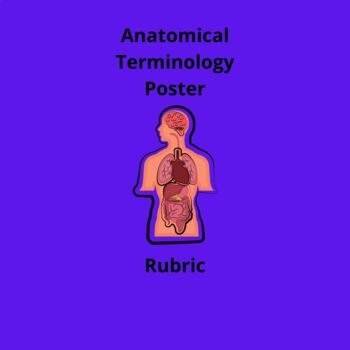 Preview of Anatomical Terminology Poster Rubric