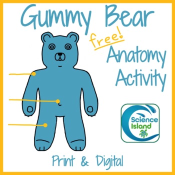 Preview of Anatomical Terminology Practice - Gummy Bear Anatomy (Print and Digital) - FREE