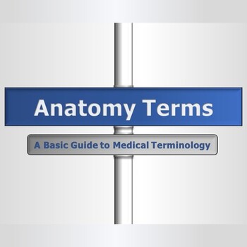 Preview of Anatomical Terms Package