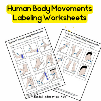 Preview of Anatomical Terms Related to Movement Labeling Worksheets