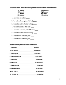 Anatomy Directional Terms Activity