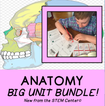 Preview of Anatomy: BIG Unit Bundle