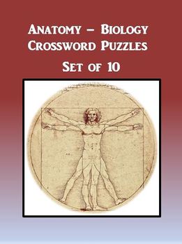 Preview of Anatomy Biology Crossword Puzzles Set of 10