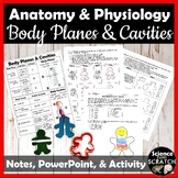 Anatomy Body Planes and Cavities Activity