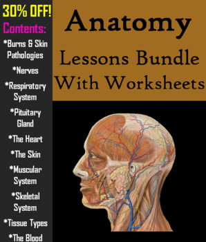 Preview of Human Anatomy and Physiology PowerPoints and Worksheets Bundle