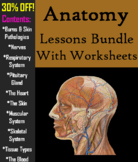 Human Anatomy and Physiology PowerPoints and Worksheets Bundle