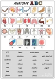 Anatomy Bundle for CC C3 Science W1 to 12