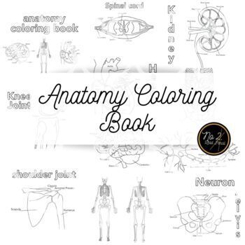 Download Anatomy Coloring Book Worksheets Teaching Resources Tpt