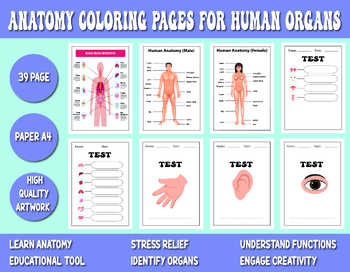 Preview of Anatomy Coloring Pages for Human Organs - Educational Body Illustrations, Brain,