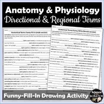Preview of Anatomy Directional and Regional Terms Funny-Fill-In Drawing Activity