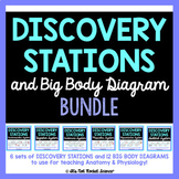 Anatomy Body System Diagrams and Discovery Stations Bundle