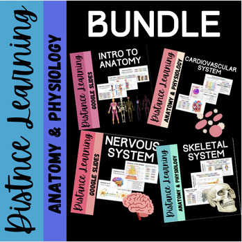 Preview of Anatomy Distance Learning Bundle