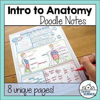 Preview of Anatomy Doodle Notes - Anatomy and Physiology Basics, Body Plans and Directions