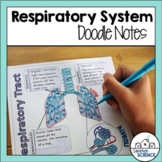 Anatomy Doodle Notes - Respiratory System Doodle Notes - L