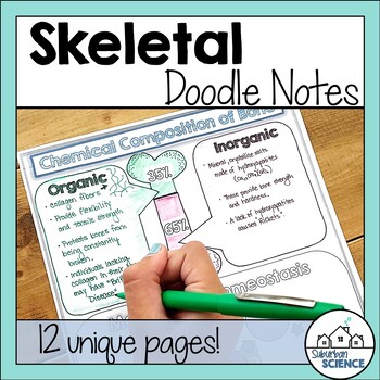 Preview of Anatomy Doodle Notes - Skeletal System Doodle Notes- Skeleton, Bones, Physiology