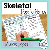 Anatomy Doodle Notes - Skeletal System Doodle Notes- Skele