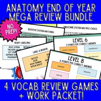 Preview of Anatomy End of Year Mega Review Bundle- No Prep!