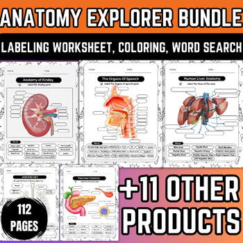 Preview of Anatomy Explorer Bundle: Dive into the Fascinating World of Human Anatomy