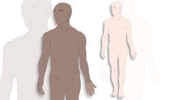 Preview of Anatomy FREEBIE - Full Bodies