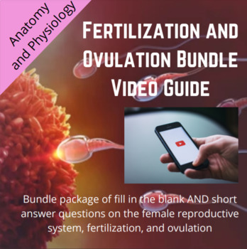 Anatomy Female Reproductive System Fertilization Ovulation Video Guides