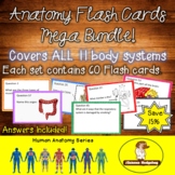 Anatomy Flash Cards Mega Bundle