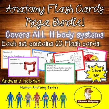 Preview of Anatomy Flash Cards Mega Bundle